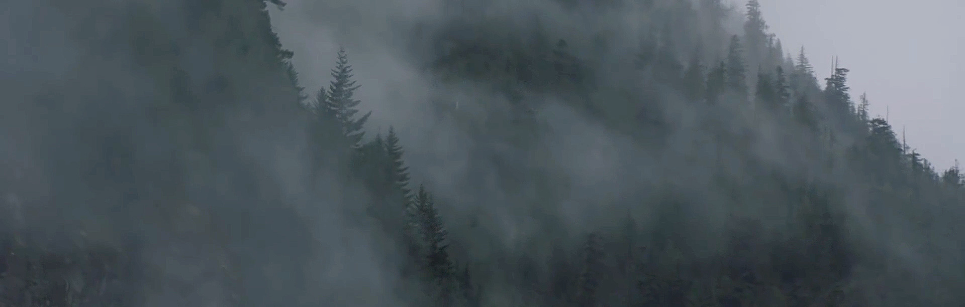 Twin Peaks Rewatch 34