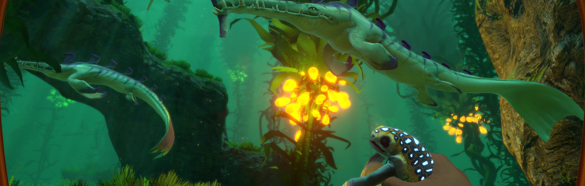 Designer Notes 74