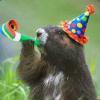 Marmot Party