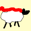 supasheep